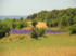 Provence pur